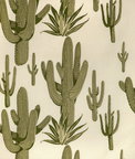 Kravet Cacti Land Grove Fabric